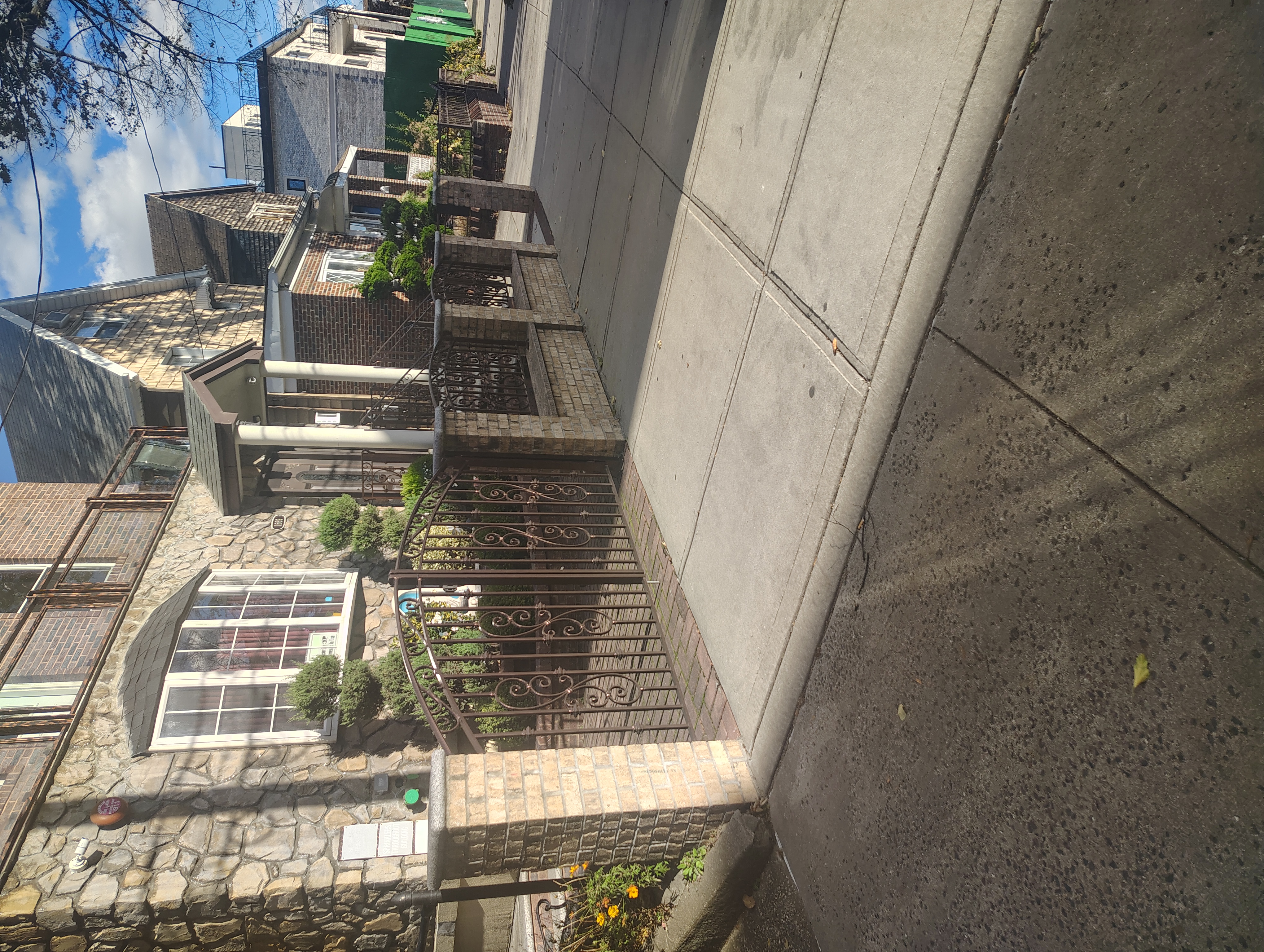 Decorative double gates and matching residential fence panels